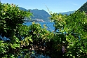 Lago di Como_197